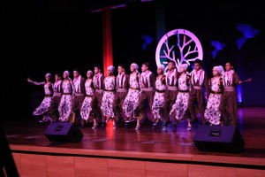 IMG-61a44aa56b6fce138687577e21172fd8-V