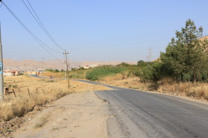 1I4A0004